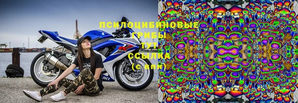 mdpv Богородицк