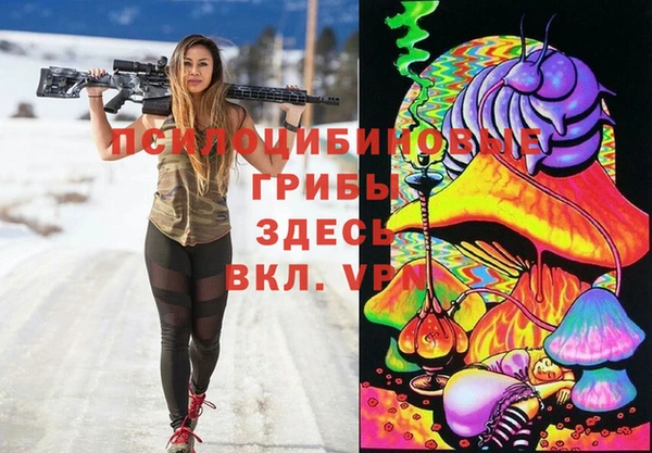 a pvp Богданович