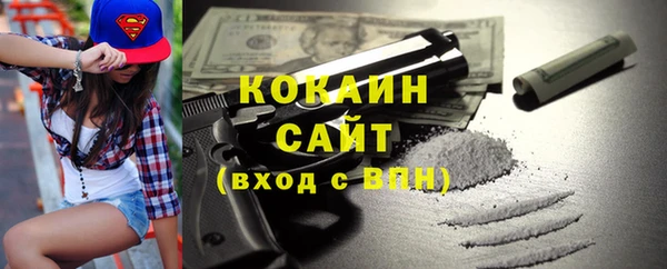 mdpv Богородицк