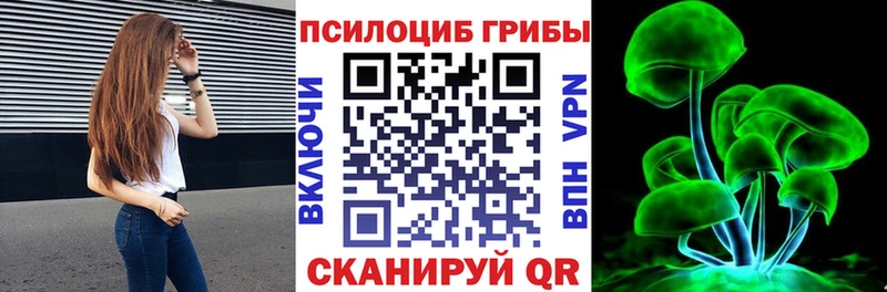 shop клад  Клинцы  Галлюциногенные грибы Psilocybine cubensis  продажа наркотиков 